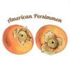 americanpersimm